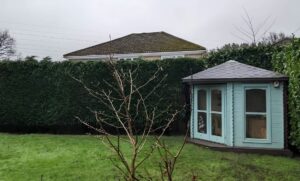 Blue shed in autumn garden