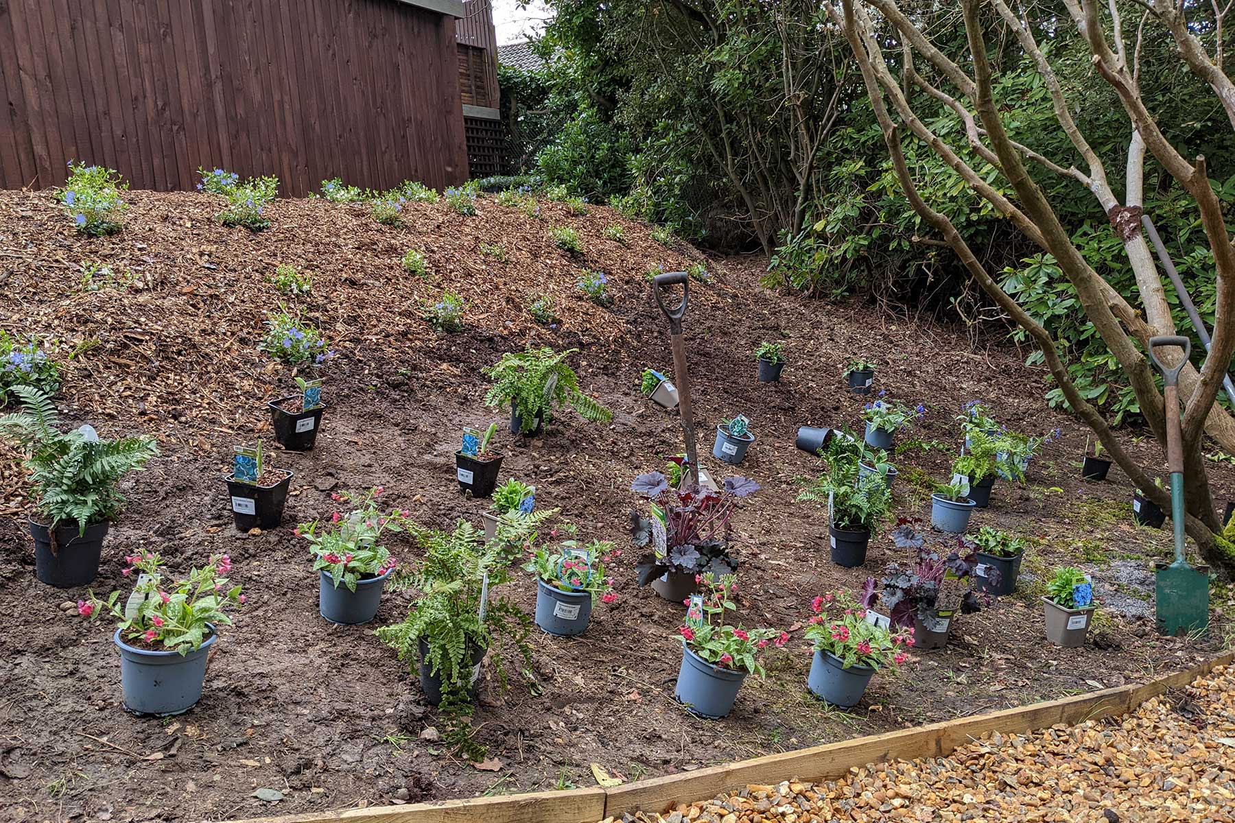 Planning and pruning services by Benita's garden services