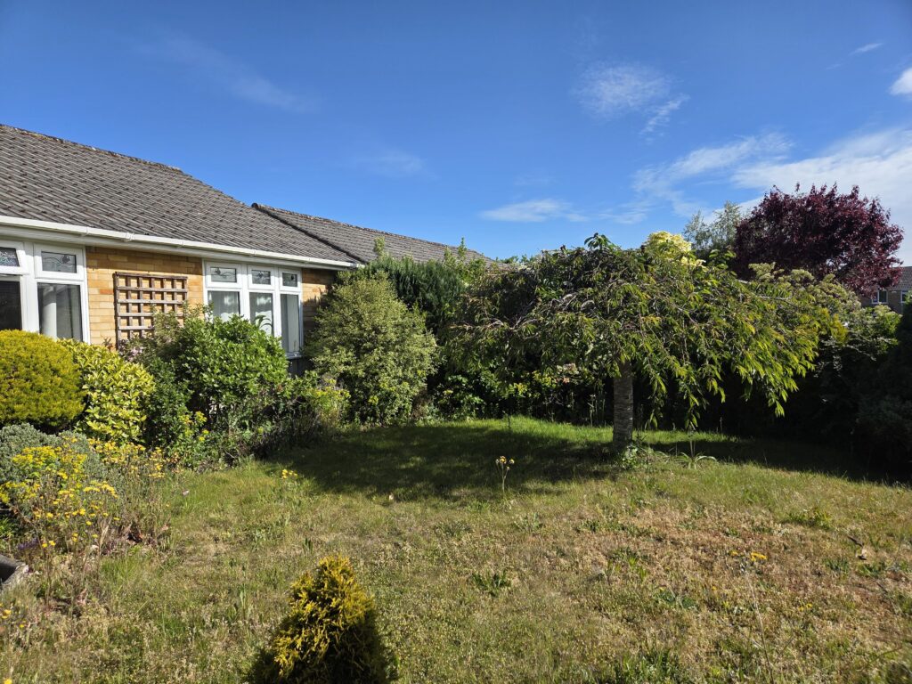 Front garden in Ferndown before maintenance work, featuring mature shrubs, an ornamental tree and overgrown planting requiring pruning and border restoration.