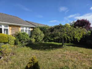 Front garden in Ferndown before maintenance work, featuring mature shrubs, an ornamental tree and overgrown planting requiring pruning and border restoration.
