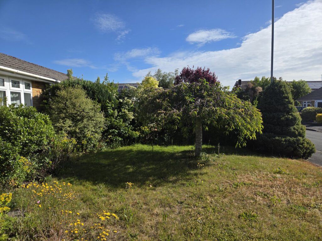Overgrown front garden in Ferndown before maintenance, featuring mature shrubs, an ornamental tree and lawn areas requiring pruning and border restoration.