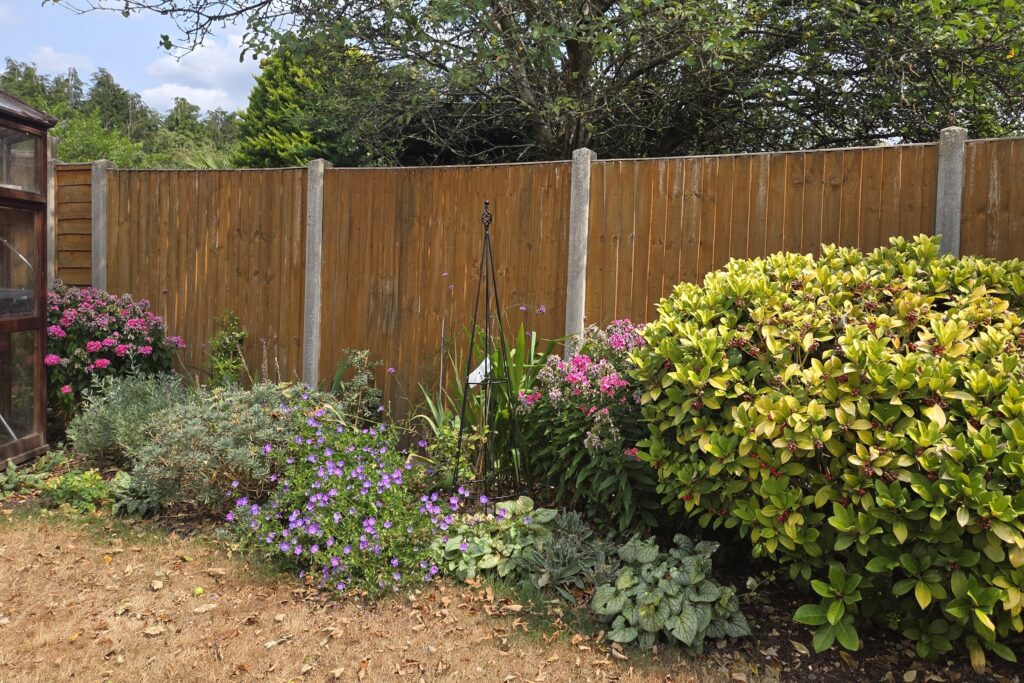 drought resistance plants