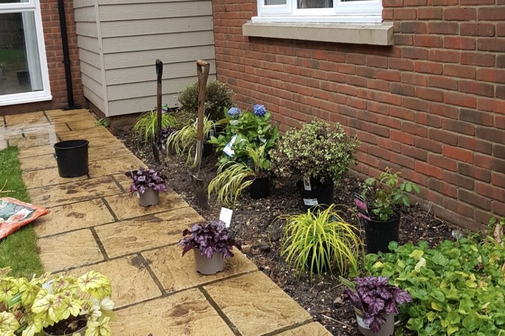 After image of a garden in Ferndown with refreshed border full of appropriate sized plants