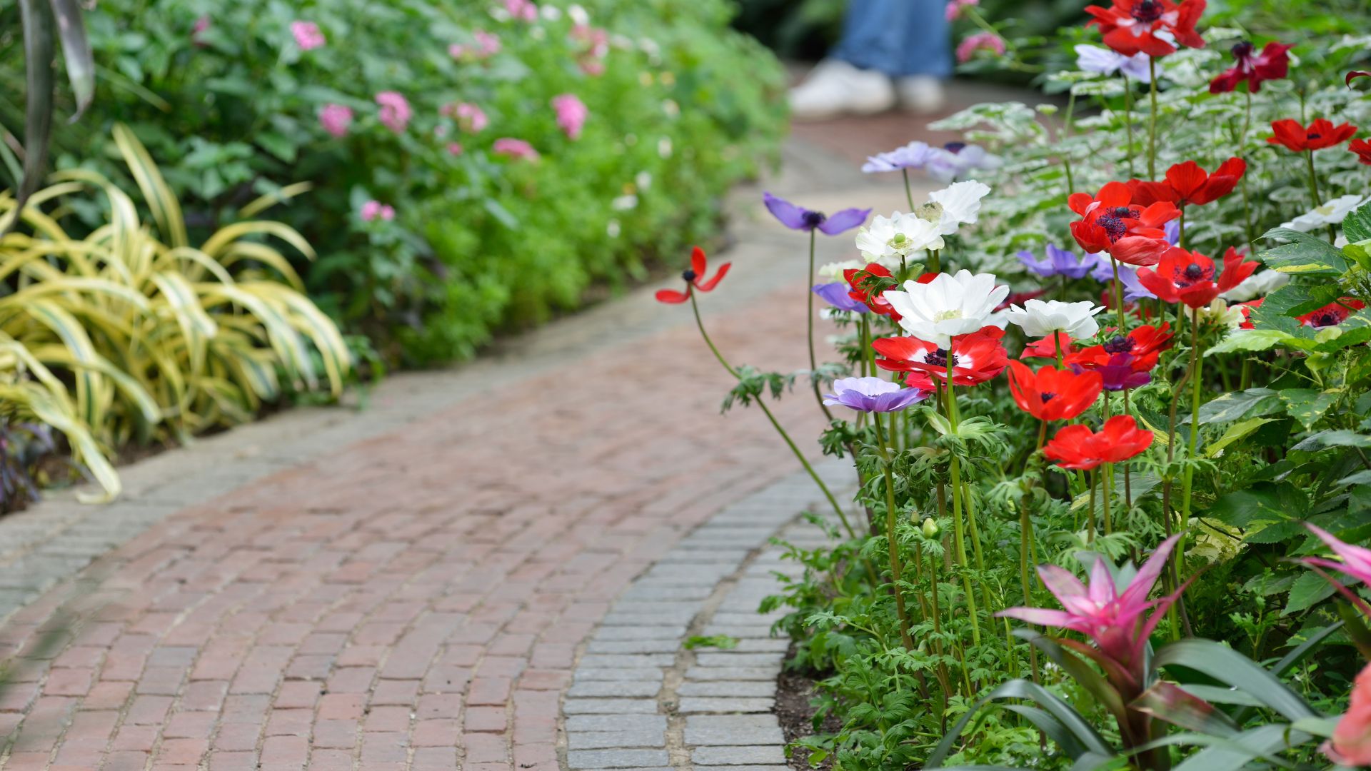 Neat planted flowers
