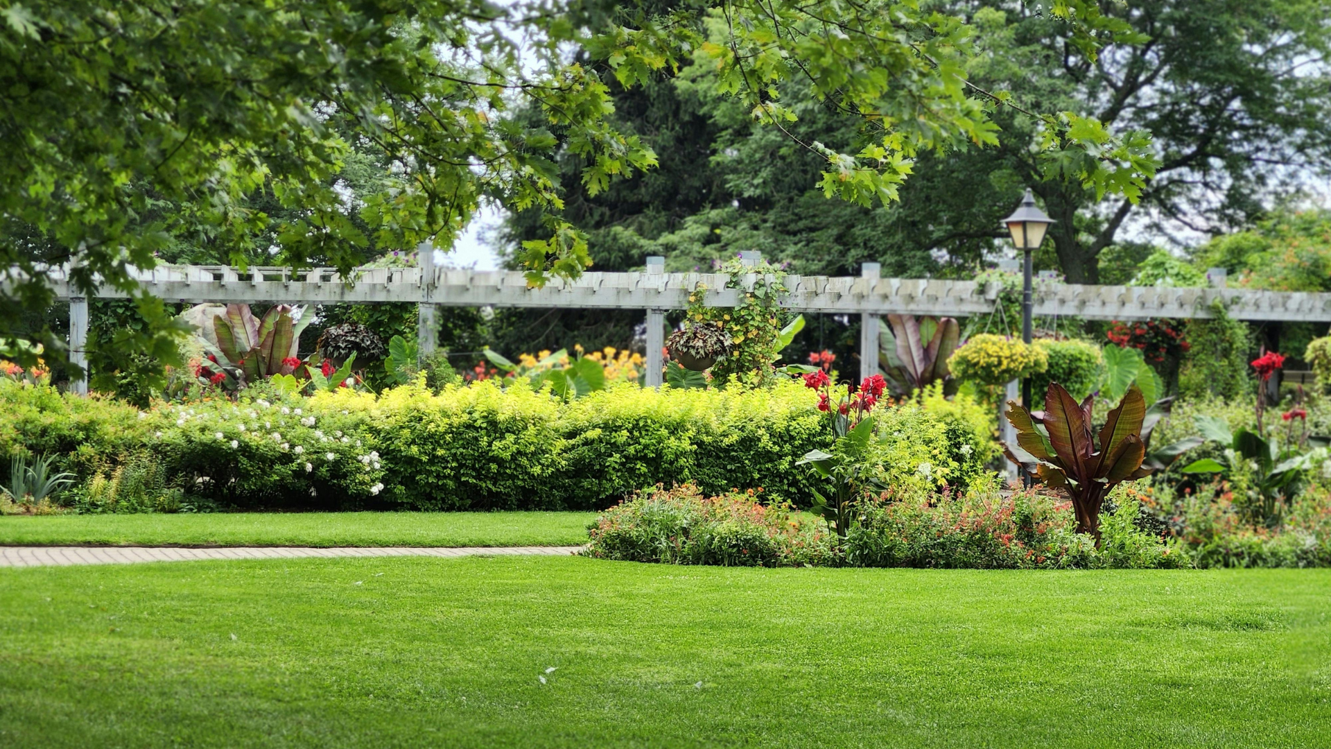 Shared garden