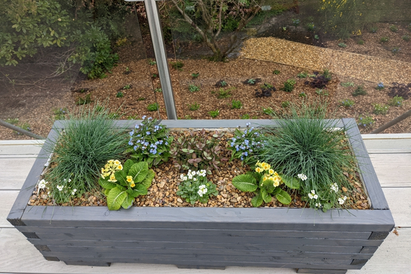 seasonal planting