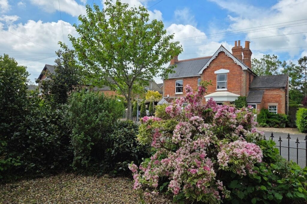 Front garden in Wimborne after a professional garden tidy-up, featuring neatly maintained shrubs, mature planting and tidy gravel landscaping.