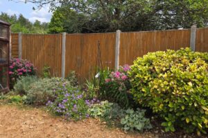 Colourful garden border with pink and purple flowers and established shrubs beside a wooden fence