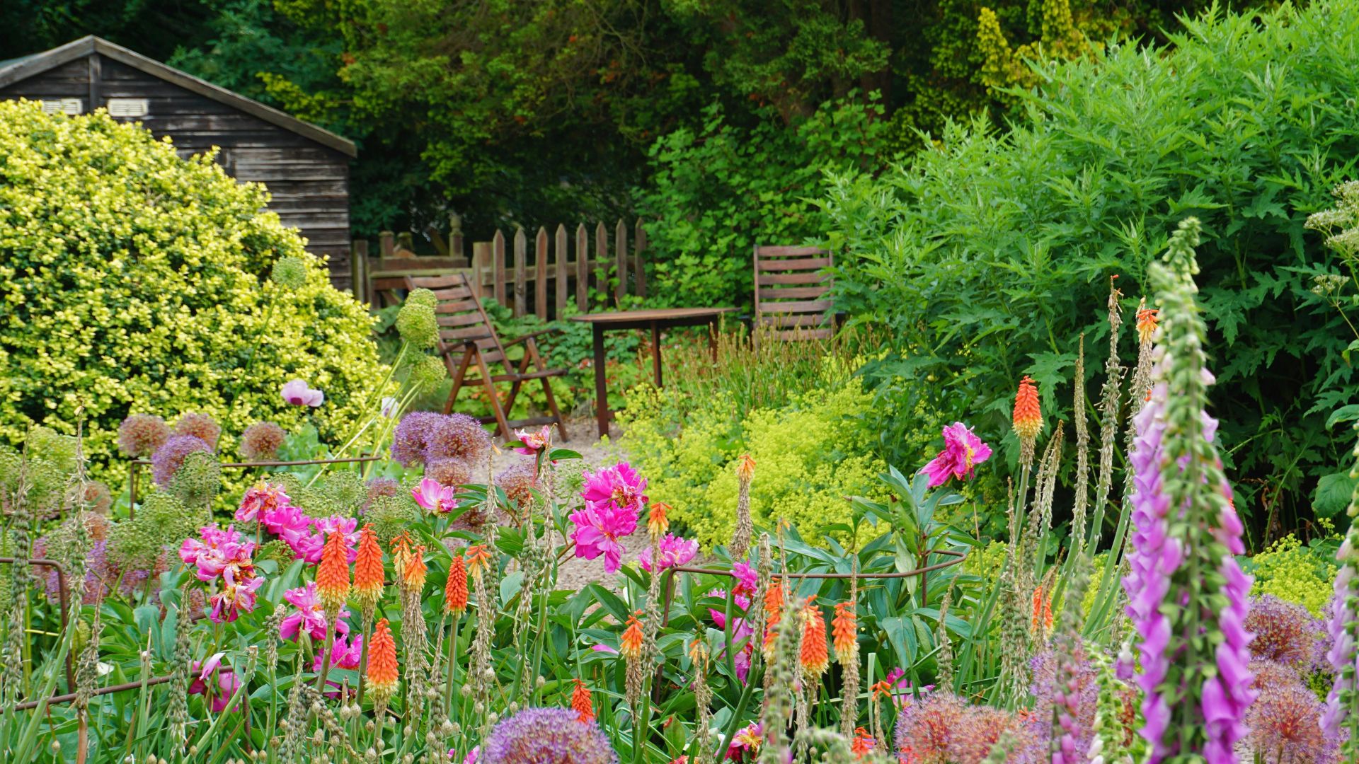 Flowers in garden