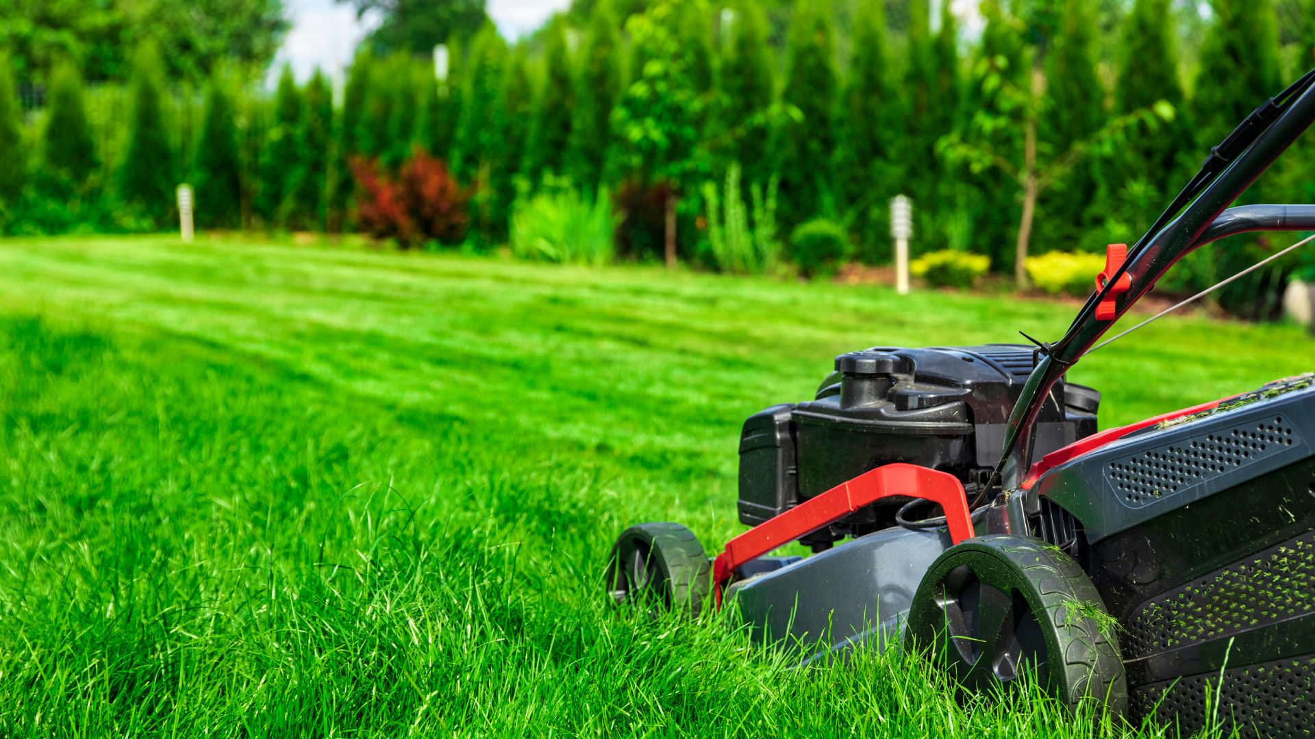 Lawn mower creating clean lawn