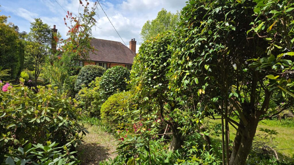 Lots of greenery