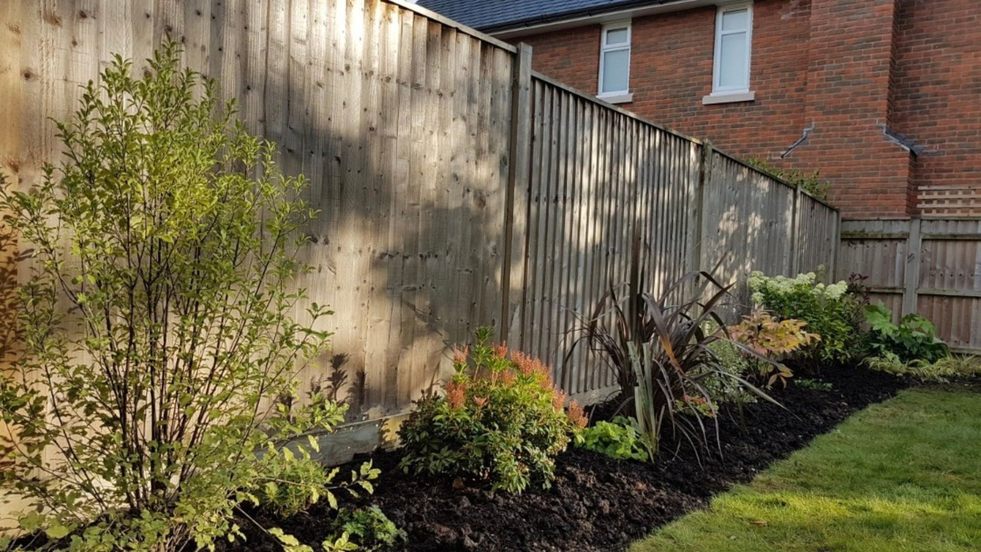Maintaining plants