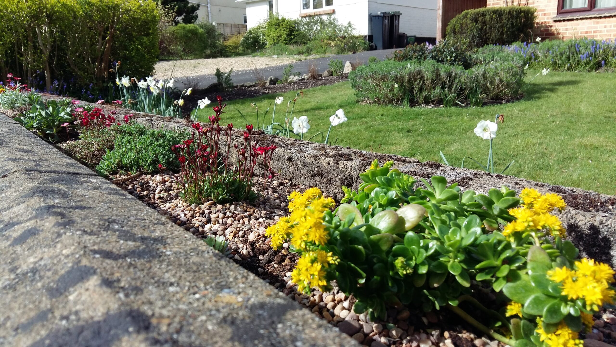 plants being planted in the ground making progress