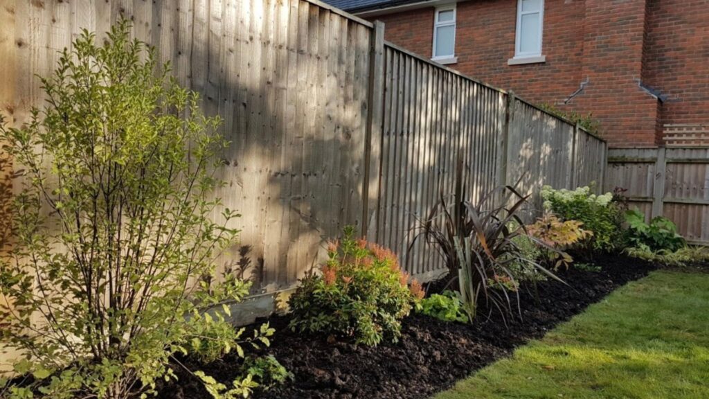 refreshed border flower bed