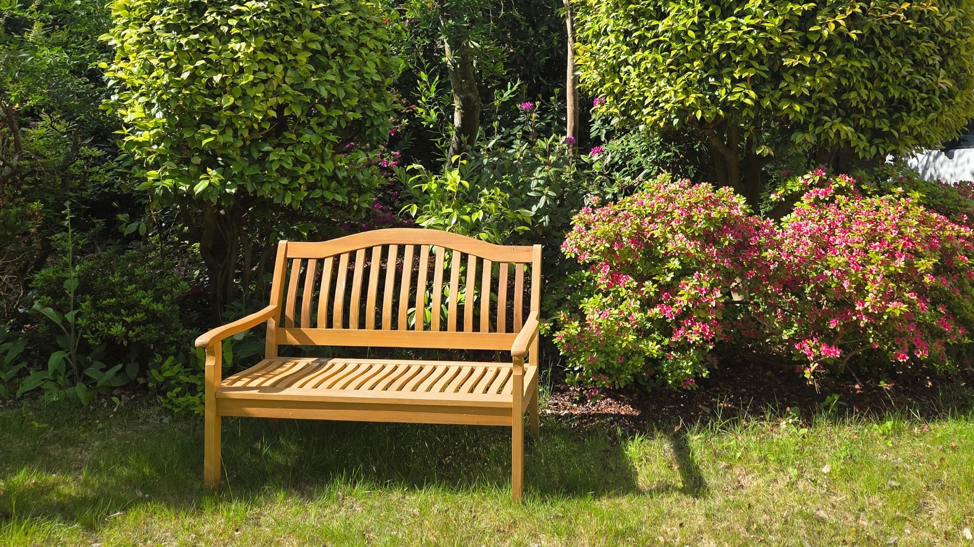 new garden improvements